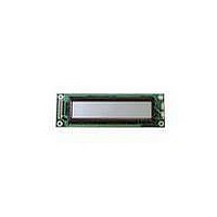 LCD Character Display Modules InfoVue Std 20x2 STN, Reflective