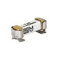 Fuses UMZ 250 FUSE WITH HOLDER 2.5A T