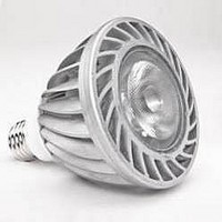 LED Light Bulbs Warm White 2700K PAR30 LED Lamp