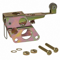 SWITCH ROLLER LEVER