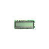 LCD Character Display Modules InfoVue Std 16x1 STN, Reflective
