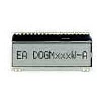 LCD Character Display Modules FSTN(+) Transmissive White Background