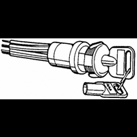 SWITCH, KEY OPERATED, DPST, 4A, 250V