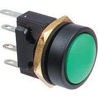 Pushbutton Switch