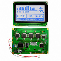 LCD MOD GRAPH 240X128 WH TRANSFL