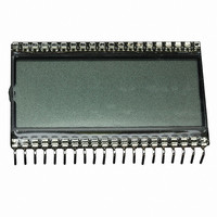 LCD Numeric Display Modules Gray Transflective 4-1/2 DIGITS