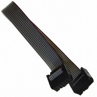 SERIAL CABLE 10PIN FOR SER ADAPT